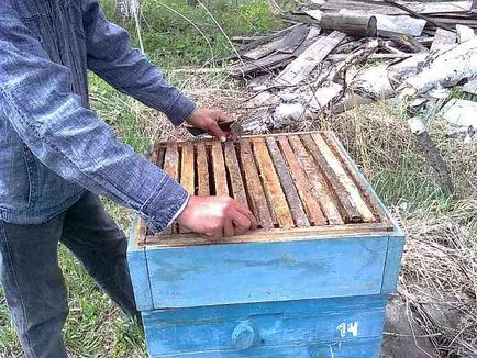 Vidéki portál - Bővítőhelyek méh üzletek