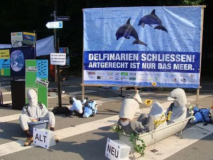 Delfinii mor zambitoare (video, fotografii) ~ Delfinariu clorurate închisoare