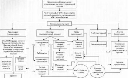 Diagnosticul diferențial al sindromului revărsat pleural