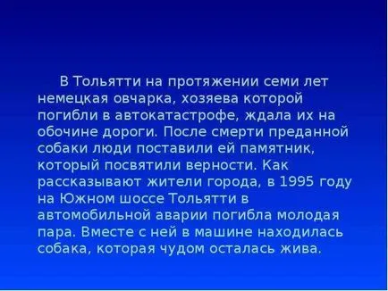 В доклад на кучето - най-добрият приятел на човека