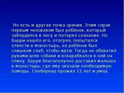 Un raport cu privire la câine - cel mai bun prieten al omului