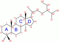 Fitosteroli - l