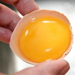 Къде е салмонела в яйца в черупка или вътре, как да тествате и лечение