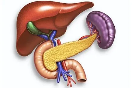Гладно за панкреатит в терапевтични и профилактични цели