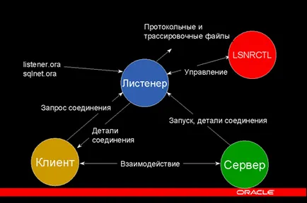 Информационна сигурност Oracle 9i - всичко за него, и програмиране