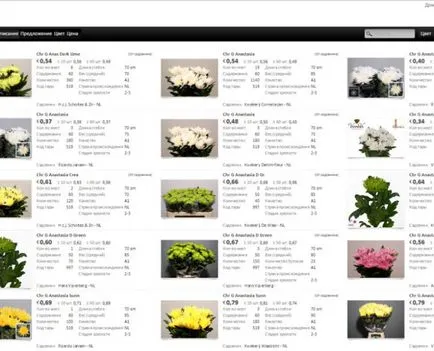 Как да си купите цветя на търга в Холандия