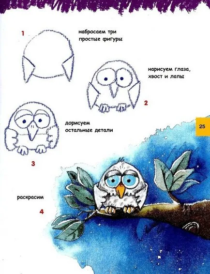 Cum să atragă bufnița, cucuveaua, owlet folosind foto-schema