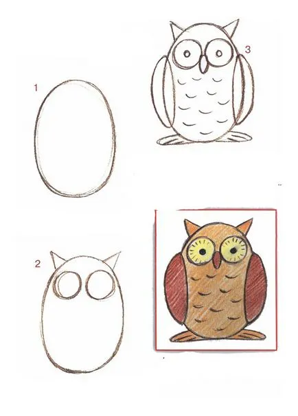 Cum să atragă bufnița, cucuveaua, owlet folosind foto-schema