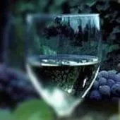 Cum de a identifica winesave vin răsfățat - vin de pro