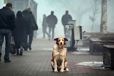 Cum nu pentru a ajuta persoanele fără adăpost