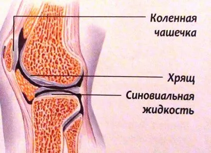 Cum de a pompa fluidul din articulația genunchiului, elimina excesul de lichid din genunchi