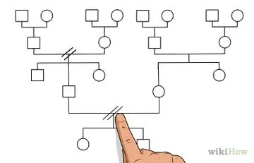 Hogyan lehet megérteni a nehézségeket, hogy létrehozza a konszolidált család