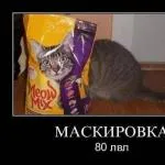 Що таке довіра