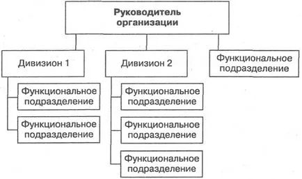 Ce structură de management divizionară se referă la o structură divizionară birocratică