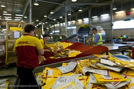 Как работи услугата на DHL експресна доставка - infoglaz