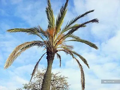 Hogyan megy pihenni 100 euró, vagy mi a teendő Calella tél (1. rész)