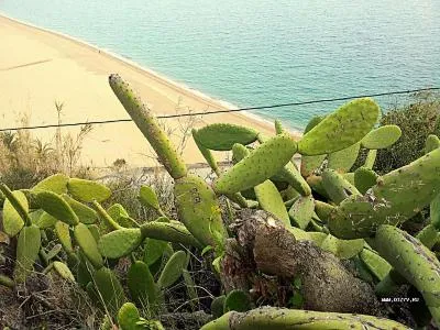 Hogyan megy pihenni 100 euró, vagy mi a teendő Calella tél (1. rész)