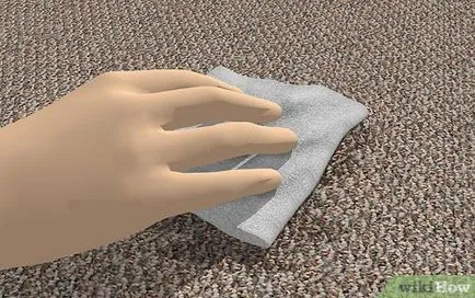 Hogyan lehet eltávolítani a szőnyeg szaga kutya vizelet