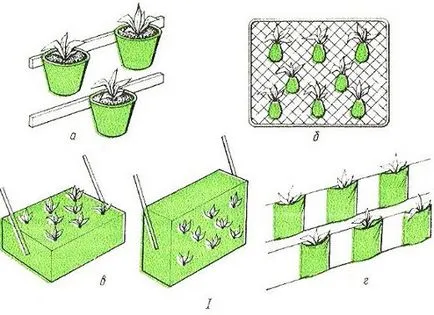 Как да расте ягоди вертикален метод