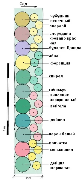 garduri vii cu flori