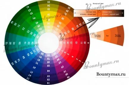 Culoare sau un cerc cromatic Itten