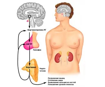A kortizol az, ami a tünetek és a kezelés a kortizol