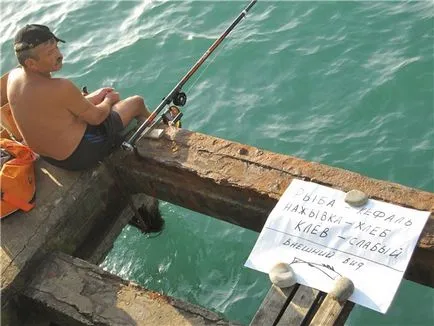 Prinderea chefal pe negru stoc mare de capturare chefalii pe video coasta Marii Negre