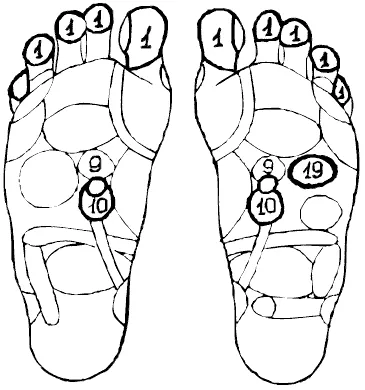 Масаж на рефлексните зони на стъпалото