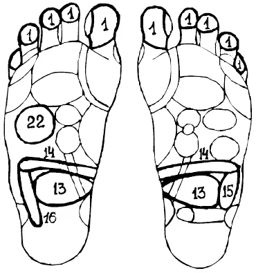 Масаж на рефлексните зони на стъпалото