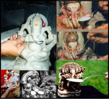 Dairy csoda 1995-szobrok a hindu istenek fogyasztói tej - misztériumvallások - Hírek