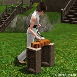 Умения бойни изкуства СИМ-фу и медитация, вселената на играта The Sims!