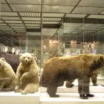 Darwin Múzeum Moszkvában áttekintést arról, hogy fotók, jegyek és több