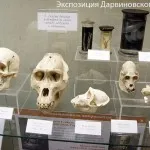 Darwin Múzeum Moszkvában áttekintést arról, hogy fotók, jegyek és több