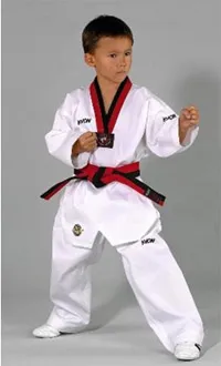 Vannak a Taekwondo