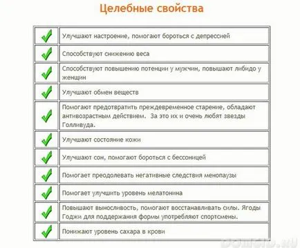 Декоративні та лікарські рослини на ділянці