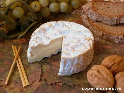 A főbb típusai a sajt