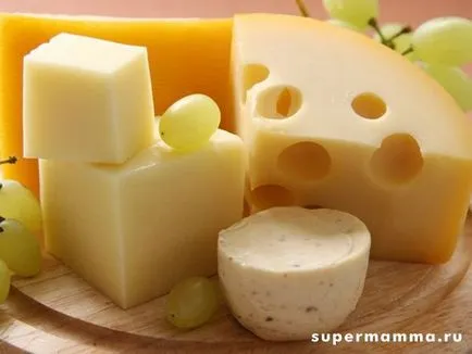 A főbb típusai a sajt