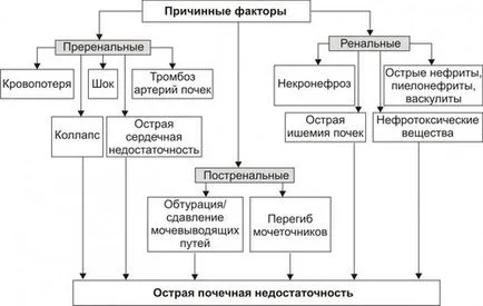 insuficiență renală acută și cronică, tulburări metabolice organism întreg