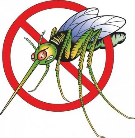 Legyen neukushennym szeretnék rendezni egy nyári nélkül szúnyogok