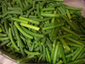 Pasta terjedését készült fokhagymás nyilak recept fotókkal