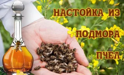 Bee Podmore рецепти тинктури и политики за задържане на алкохол