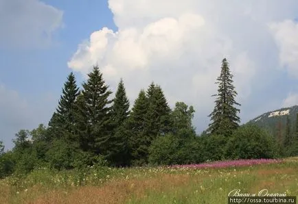 A tavak a Dél-Urál (Cseljabinszk régió, Magyarország)