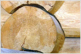 Zaveshivanie alsó kivágás és szögek a faház, fa