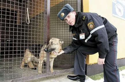 Elkészítése és karbantartása szolgálati kutyák különböző fajták kennelben MIA