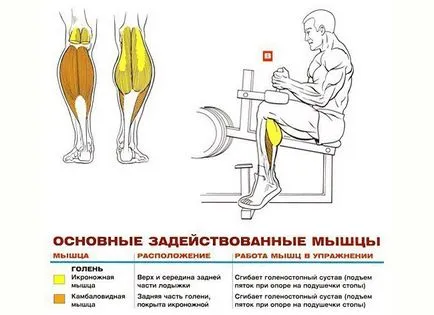 Възходът на чорапите седяха в симулатора, и без да се правят машини