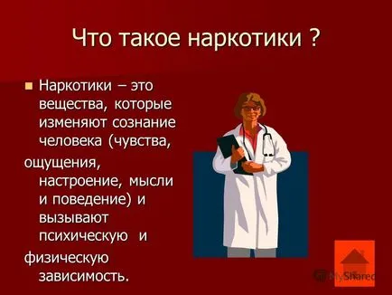 Előadás arról, hogyan védhetik meg magukat a drogoktól! Elvégzett munka Demidov Dmitriy