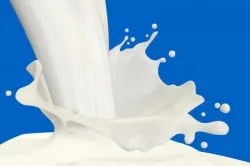 A tejtermelés az üzleti, a tejüzem terv elemzése
