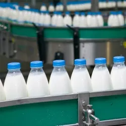 producție de lapte - tehnologie, fotografii și clipuri video de proces