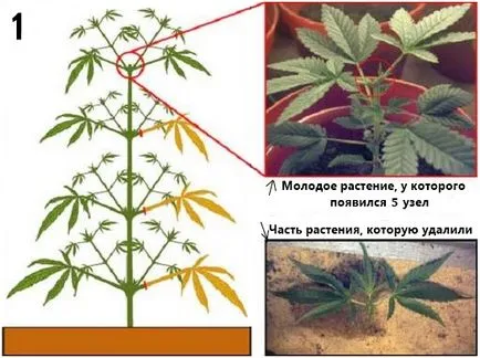 Progresszív groving - üzemi képzés - Kiadványok - cikkek