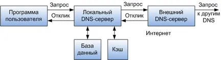 DNS protokoll